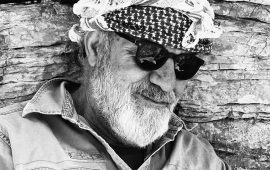 11. βραχνάκης1